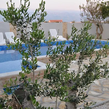 House With Swimming Pool Blue Diamond * Povljana