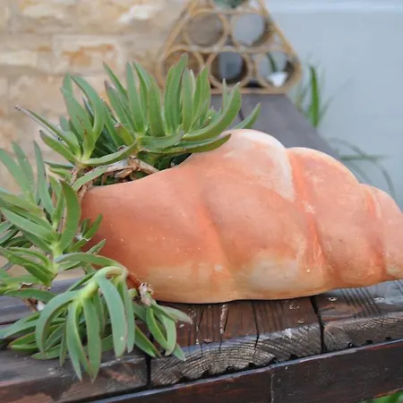 House With Swimming Pool Blue Diamond شقة *